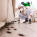 Rodent Infestation: How to Clean After It and Safety Gear (I)