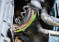 Rodent Infestation: Cleaning Vehicles, Gardens and Crops (III)