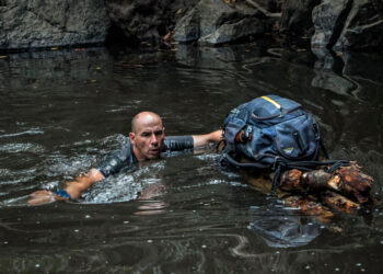 Keeping Your Head in Times of Crisis