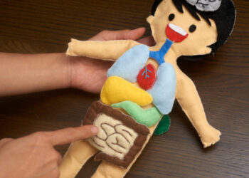 Cultivating Gut Health in Children: Kid-Friendly Foods & Tips