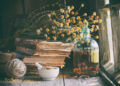 Herbal Basics: Must-Have Medicinal Herbs for Beginners