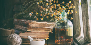 Herbal Basics: Must-Have Medicinal Herbs for Beginners