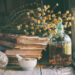 Herbal Basics: Must-Have Medicinal Herbs for Beginners