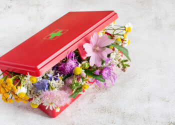 Natural First Aid Kit Essentials: Stocking Your Home the Healthy Way