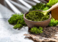 Superfood Spotlight: Spirulina & Chlorella for Detox & Vitality