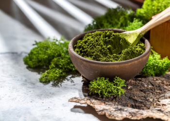 Superfood Spotlight: Spirulina & Chlorella for Detox & Vitality