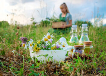 Herbal Remedies for Women’s Health: Balancing Hormones Naturally