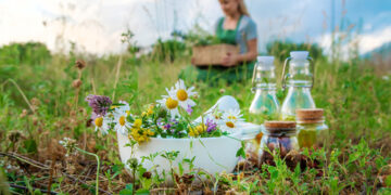 Herbal Remedies for Women’s Health: Balancing Hormones Naturally