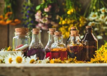 Tinctures, Salves, and Infusions: Mastering Herbal Preparations