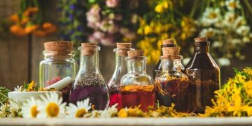Tinctures, Salves, and Infusions: Mastering Herbal Preparations