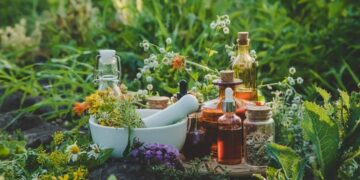 Homeopathy 101: How Does It Work & Is It Right for You?