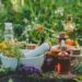Homeopathy 101: How Does It Work & Is It Right for You?