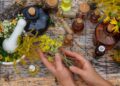 Aromatherapy for Emotional Well-Being: Essential Oils & Their Uses