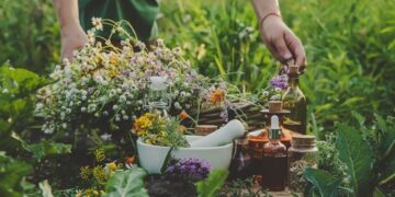 Wildcrafting 101: Safely Harvesting Herbs in Nature