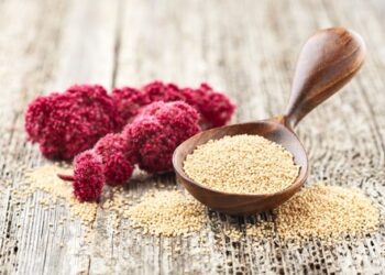 Protein-Rich Superfoods: Quinoa, Amaranth & Plant-Based Alternatives
