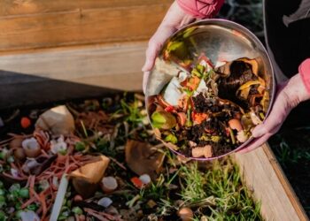 Zero Waste Kitchen: Tips for Cutting Down on Food Waste and Plastics