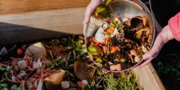 Zero Waste Kitchen: Tips for Cutting Down on Food Waste and Plastics