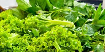 Spring Greens & Fresh Herbs: Light Recipes for the New Season