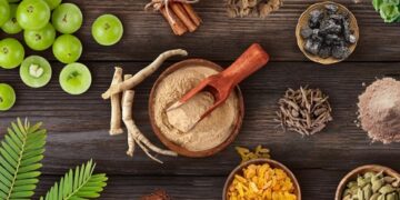 Intro to Adaptogens: How They Work & When to Use Them