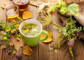 Herbal Teas for Stress Relief: Calming Blends You Can Make at Home