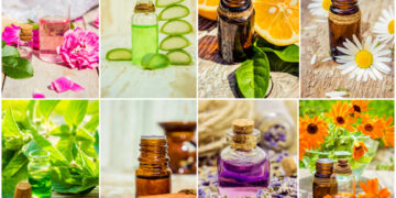 Plant-Powered Beauty: Key Botanicals for a Healthy Glow