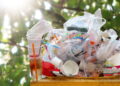 Creating a Plastic-Free Household: Practical Tips for Daily Life