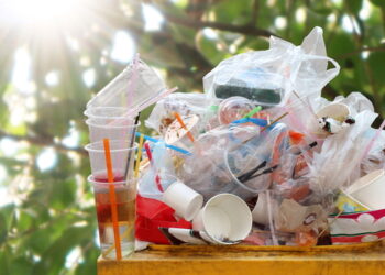 Creating a Plastic-Free Household: Practical Tips for Daily Life