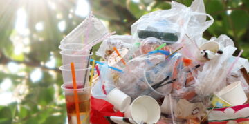 Creating a Plastic-Free Household: Practical Tips for Daily Life