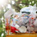 Creating a Plastic-Free Household: Practical Tips for Daily Life