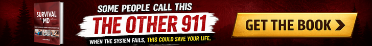 Advertisement
